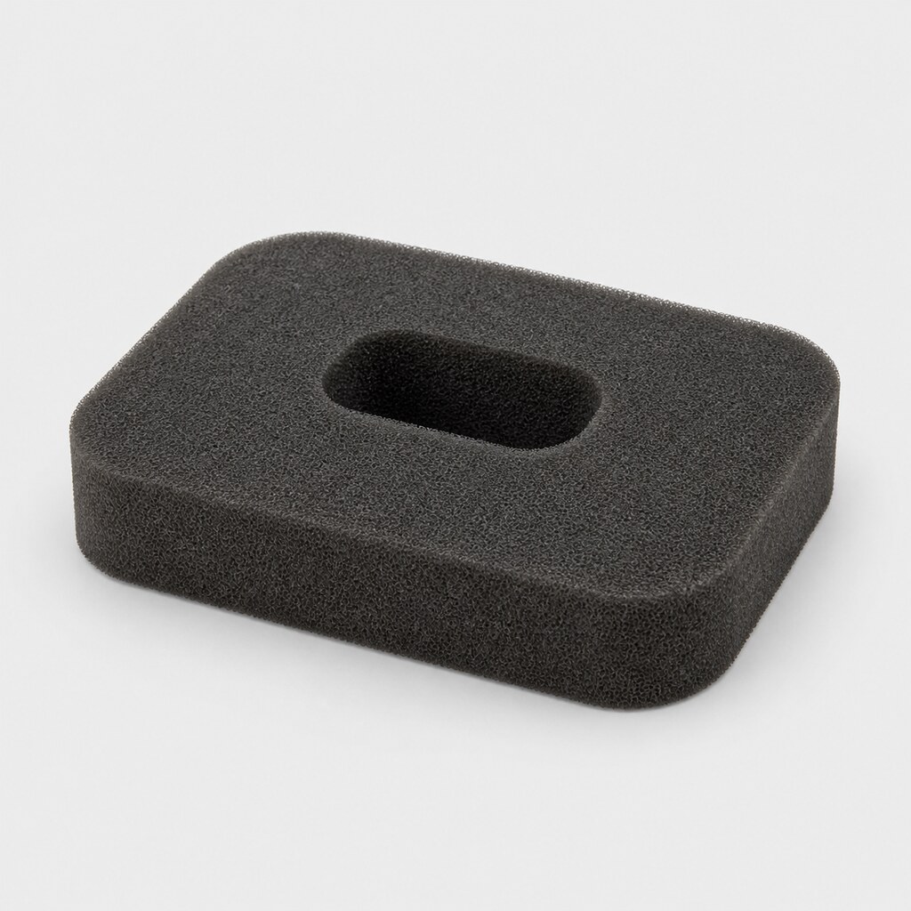 Air Cleaner — Wasp